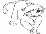 Nala Lion Coloring King Pages Drawing Getcolorings Paintingvalley sketch template