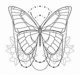 Motyle Kolorowanki Motylek Druku Kolorowanka Ruchu Drukowania Strona Planetadziecka sketch template