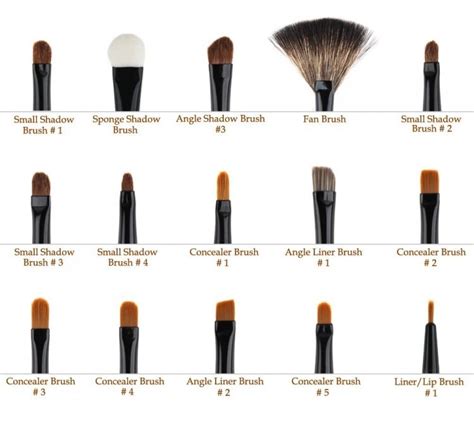 identify the make up brushes makeup brushes guide best