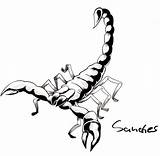 Scorpion Drawing Draw Tattoo Cartoon Drawings Designs Line Scorpions Colouring Coloring Clip Deviantart Clipartmag Pages Tatoo Stats Downloads sketch template