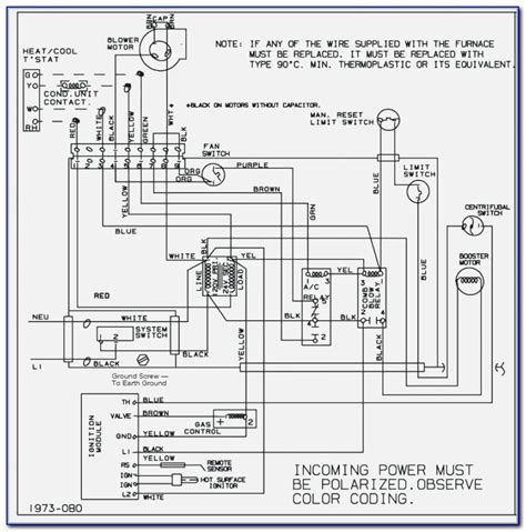 coyote control pack wiring diagram prosecution