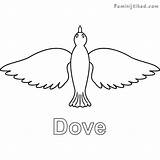 Dove Coloringfolder sketch template