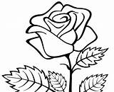 Mawar Bunga Sketsa Contoh Mewarnai Kolase Lukisan Beginilah Pensil Tanaman Menggambar Berarti Rasa Melambangkan Cinta Hias sketch template