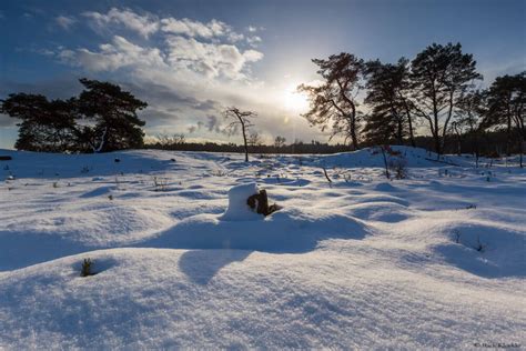 sneeuw op de veluwe timelapse rick kloekke fotografie
