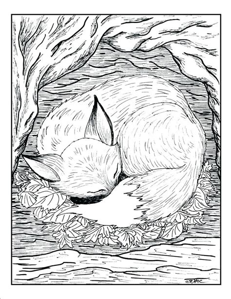 realistic wild animal coloring pages  getdrawings
