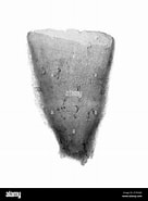 Afbeeldingsresultaten voor "iophon Piceum". Grootte: 136 x 185. Bron: www.alamy.com