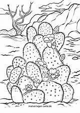 Kaktus Kakteen Ausmalen Kostenlos sketch template
