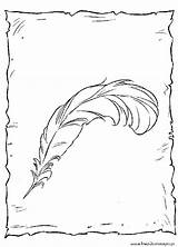 Plume Peacocks Feathers Plumes sketch template