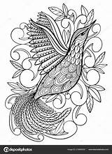 Adultos Hummingbird Kleurend Kunstwerk Malplaatje Volwassenen Kleurende Boek Paracolorear Bonita sketch template