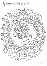 Placenta Birth Tree Life Mandala Colouring Affirmations Leyendas Mayas Choose Board Tattoos Coloring sketch template