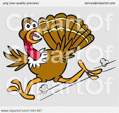 clipart of a cartoon scared turkey running and looking back royalty