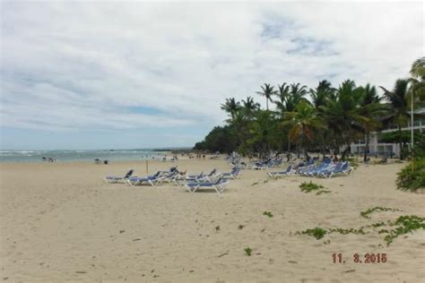 beach picture of be live collection marien puerto plata tripadvisor