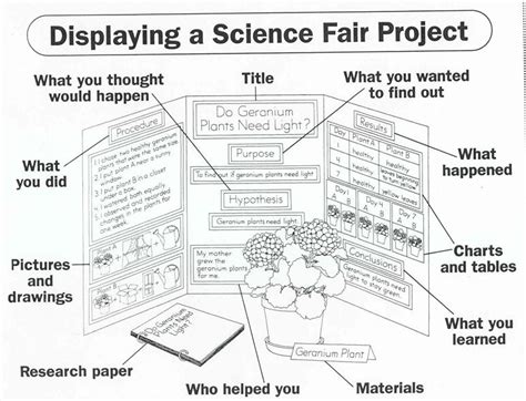 science fair research paper outline thesisabstractxfccom