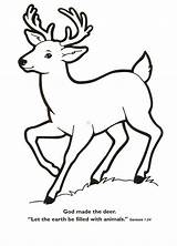 Coloring Animals God Made Popular sketch template