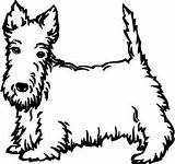 Coloring Scottie Dog Scottish Terrier Pages Template Decals Kids Animals Outline Wall Drawings Templates Dogs Colouring sketch template