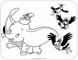Dumbo Coloring Pages Stork Template sketch template