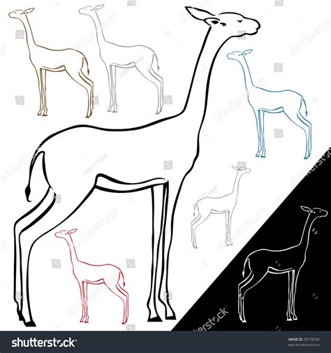 gazelle drawing stock photo  shutterstock