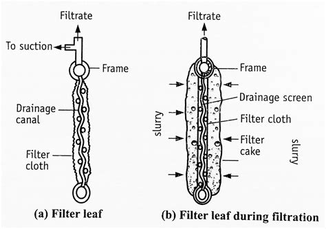 filter leaf principle construction  working