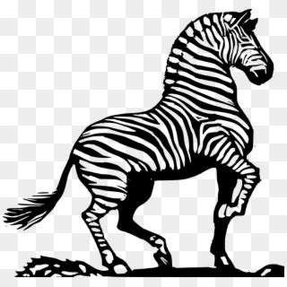 zebra  stripes clipart   cliparts  images