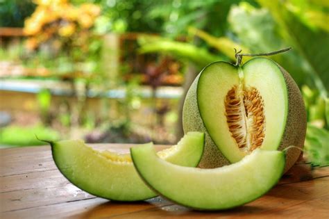 honeydew melon benefits nutrition side effects  healthifyme