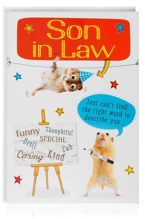 son  law birthday funny humour joke card  animal hamster