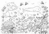Unterwasser Unterwasserwelt Malvorlagen Wasser Korallen Fisch Malvorlage Fische Tiere Marin Meereswelt Tiefsee Mer Wimmelbild Meerjungfrau Tiefen sketch template