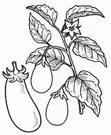 Eggplant Coloringpagesfortoddlers Coloringfolder sketch template