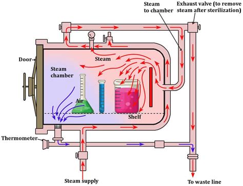 advantages  autoclaves biology ease