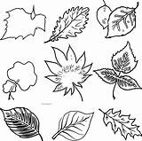 Coloring Fall Leafs Drawing Wecoloringpage sketch template