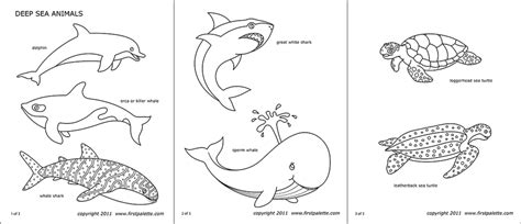 sea animals  printable templates coloring pages firstpalettecom