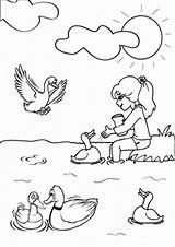 Ducks Farm Tulamama Feeding Worksheeto sketch template