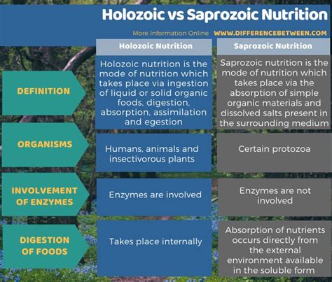 difference  saprophytic  holozoic nutrition nutrition pics