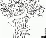 Serpente Diavolo Colorare Schlange Serpent Testament Malvorlagen Teufel Devil Altes Tanach Bibel Disegni Bibbia Tanakh Testamento Vecchio Diabo Adamo Ausmalbilder sketch template