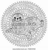 Seal Zentangle Belek sketch template