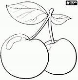 Kirsche Malvorlage Ausmalbilder Fruit Cherries Oncoloring Cerejas Mello Juci Zibetti sketch template