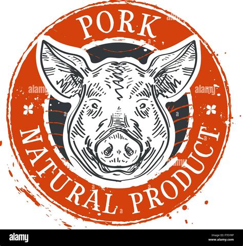pig swine vector logo design template pork  farm icon stock vector