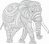Elephant Coloringfolder sketch template
