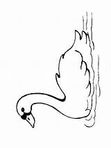 Schwan Zwaan Swan Cisne Ausmalbild Kleurplaat Leukekleurplaten Malvorlage Ausdrucken Dibujosparaimprimir Kleurplaten Besteausmalbilder Coloringpage sketch template