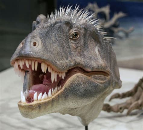dinosaur discovered  utah science tucsoncom