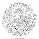 Zentangle Seahorse sketch template