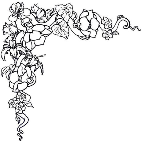rose coloring pages border warehouse  ideas