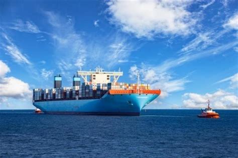 shipping deputy ministry announces tender  digital transformation