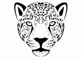 Jaguar Face Outline Tattoo Simple Mask Drawing Maker Getdrawings Tattooimages Biz sketch template