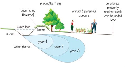 swale living permaculture