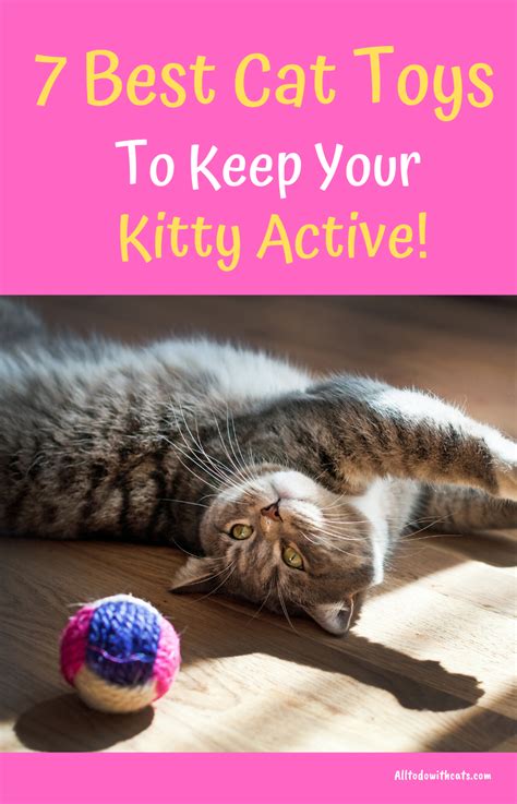 7 Best Cat Toys For Indoor Cats To Keep Your Kitty Active