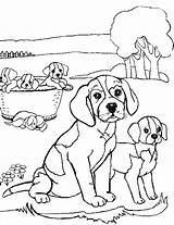 Coloring Beagle Pages Printable Documents Freecoloringpages Via sketch template