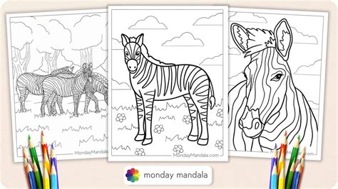 zebra print coloring page