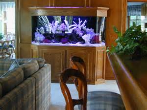 160 Gallon Flatback Hexagon Marine Fish Tank, Aquarium Design, Marine 
