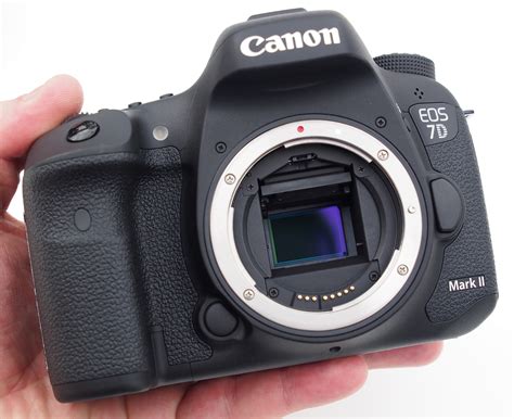 canon eos  mark ii hands  preview
