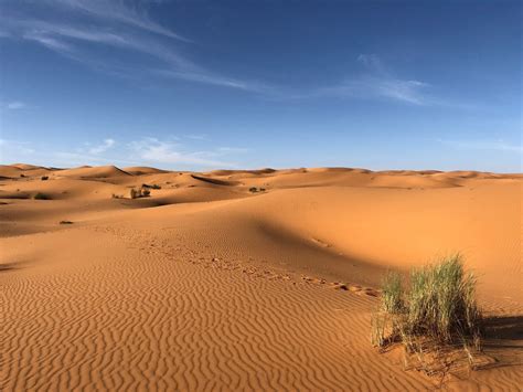 sahara desert safe  travel
